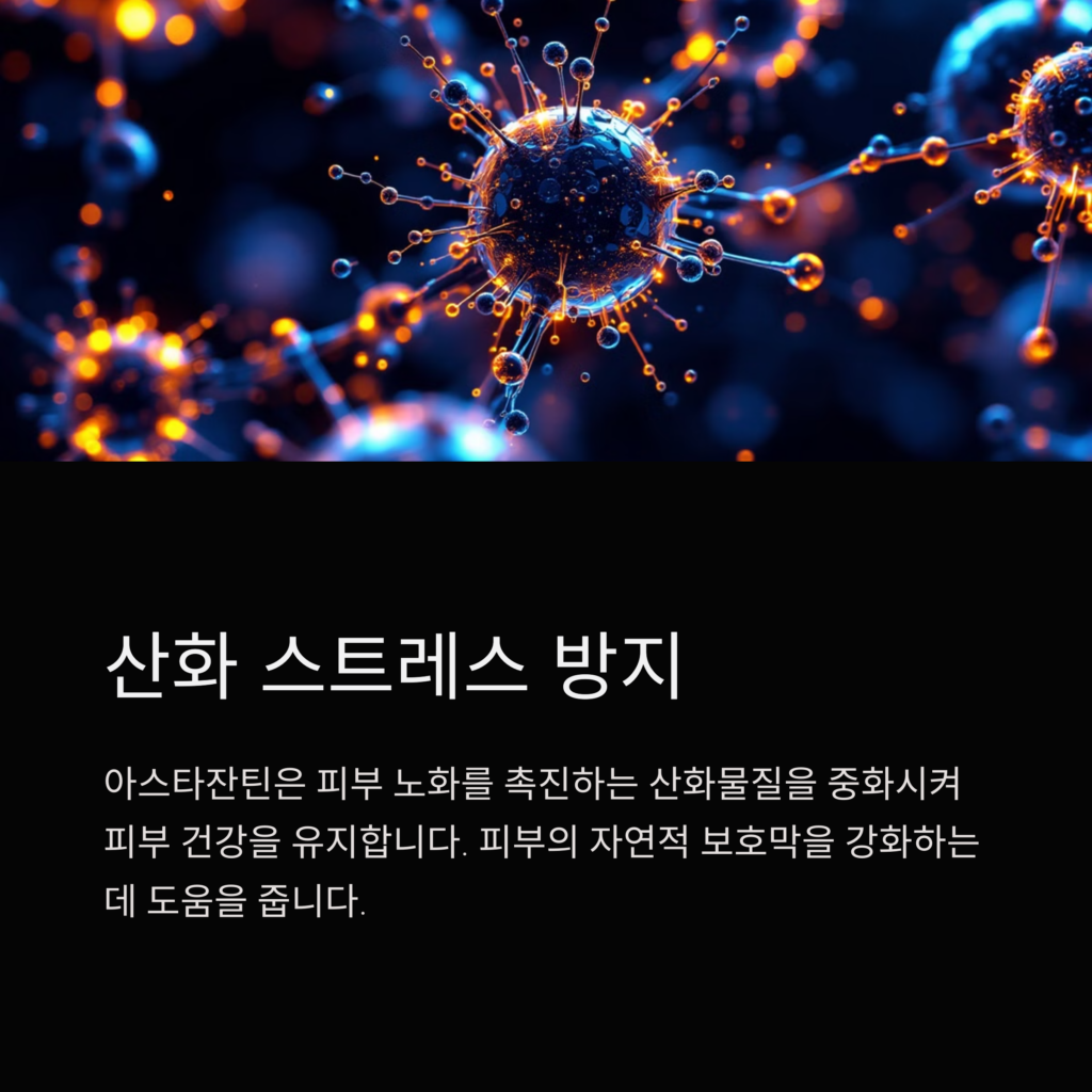 아스타잔틴 효능 피부 노화 방지 항산화제 6가지 효과 아스타잔틴 효능 피부 노화 방지 항산화제 6가지 효과
