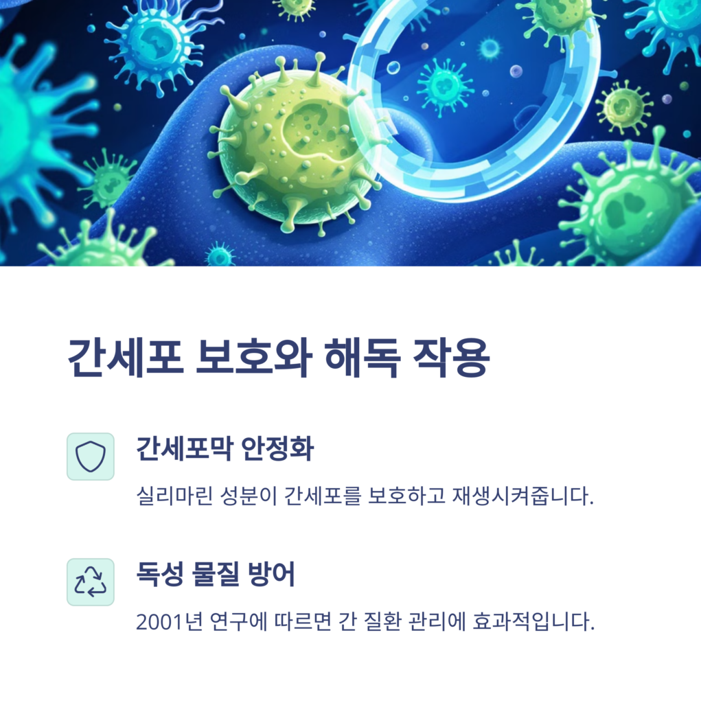 밀크씨슬 효능 간 건강 해독에 좋은 8가지 이유 밀크씨슬 효능 간 건강 해독에 좋은 8가지 이유