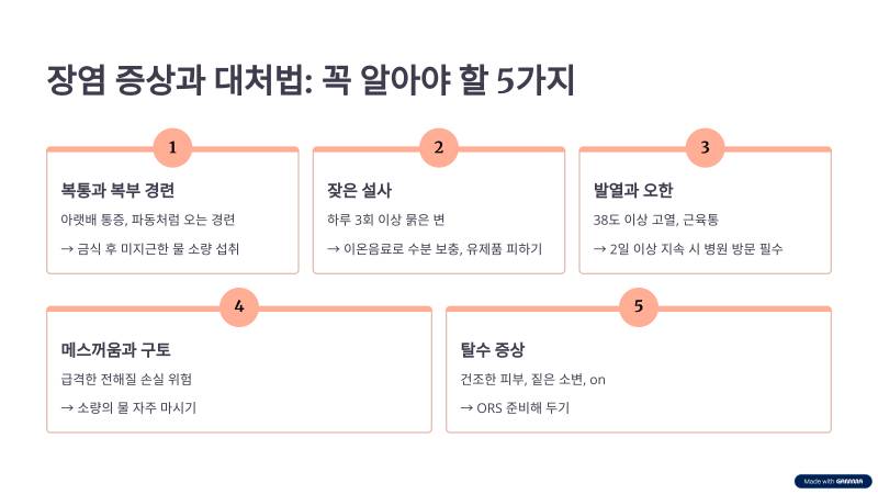 장염 증상 5가지와 대처법! 알아두면 유용한 건강 팁 장염 증상 5가지와 대처법! 알아두면 유용한 건강 팁